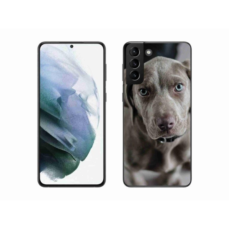 Gél tok mmCase a Samsung Galaxy S21 Plus készülékhez - výmarský ohař