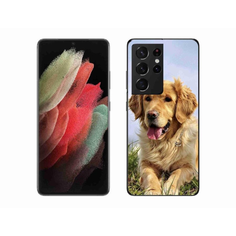 Gél tok mmCase a Samsung Galaxy S21 Ultra 5G készülékhez - arany retriever