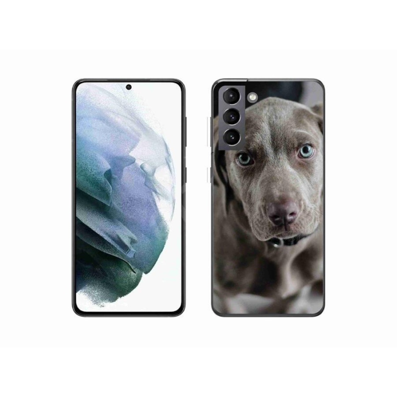 Gél tok mmCase a Samsung Galaxy S21 készülékhez - výmarský ohař