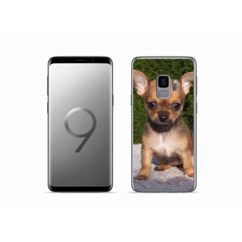 Gél tok mmCase mobil Samsung Galaxy S9 - chihuahua 3