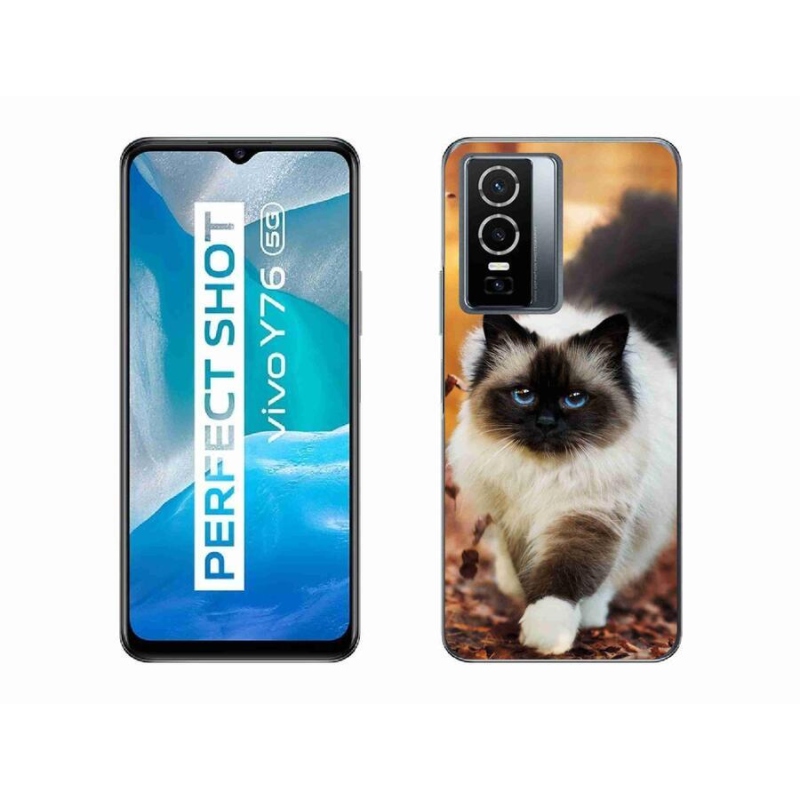 Gél tok mmCase a Vivo Y76 5G készülékhez - macska