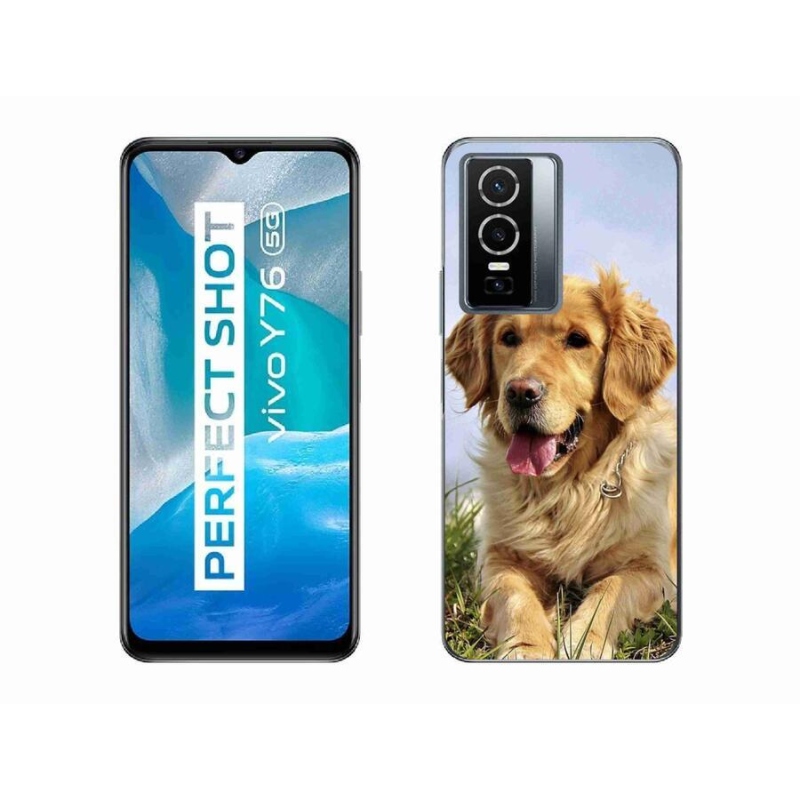 Gél tok mmCase a mobil Vivo Y76 5G - arany retrieverhez