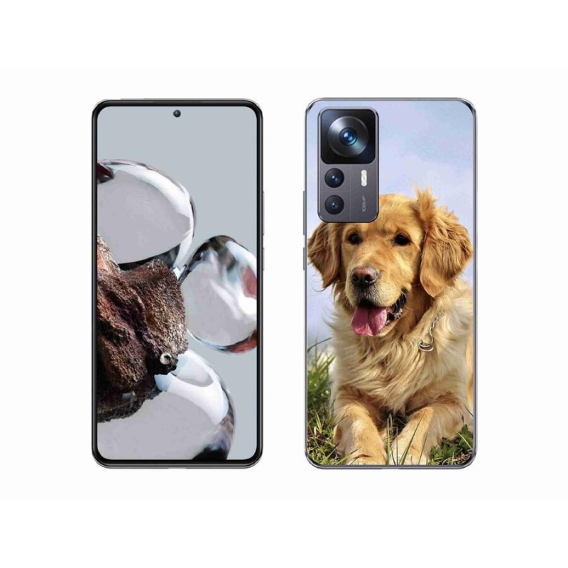 Gél tok mmCase a Xiaomi 12T Pro számára - arany retriever