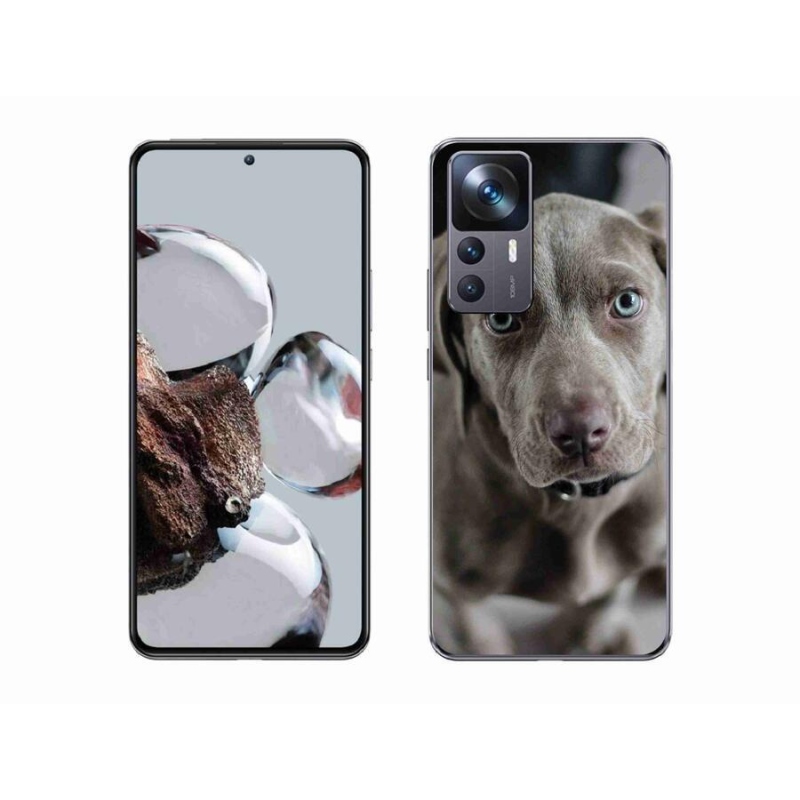 Gél hüvely mmCase a Xiaomi 12T mobilhoz - výmarský ohař