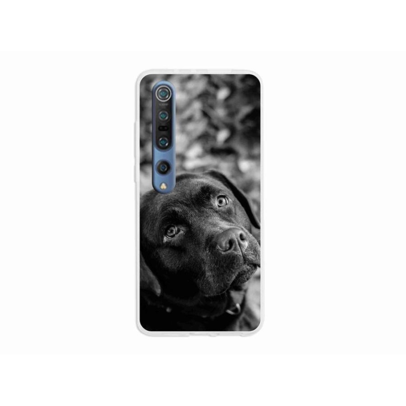 Gél tok mmCase a Xiaomi Mi 10 készülékhez - labrador