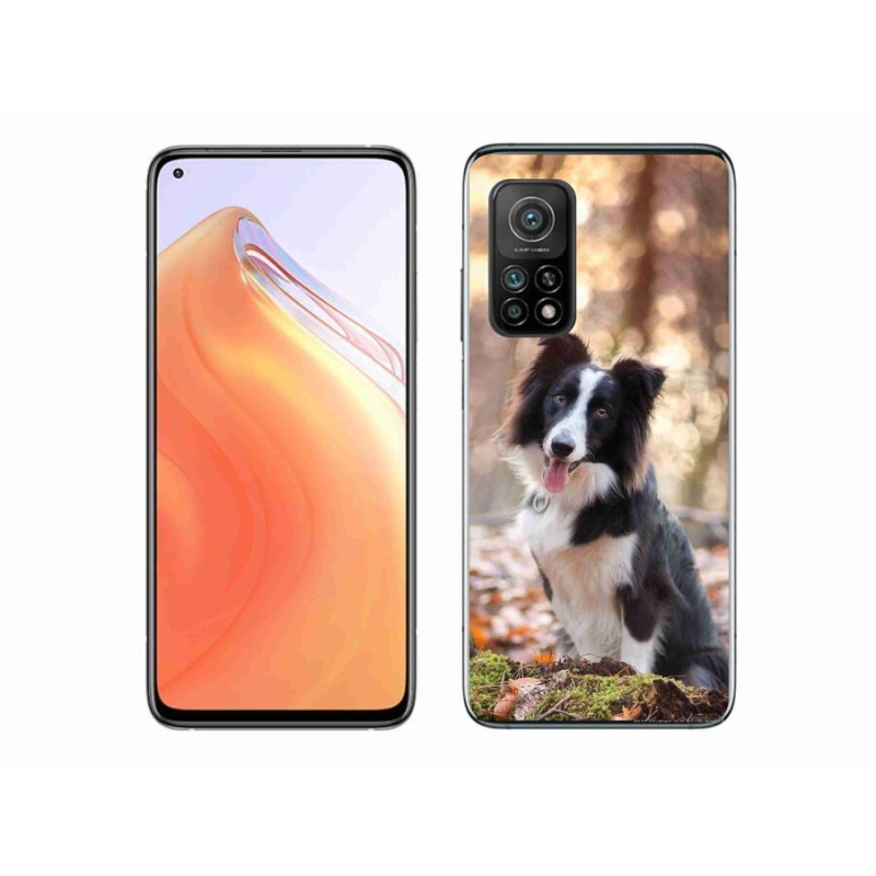 Gél tok mmCase a Xiaomi Mi 10T 5G-hez - border colie 1