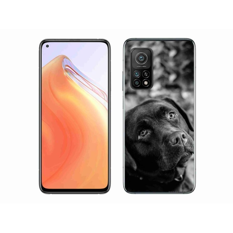 Gél tok mmCase a Xiaomi Mi 10T 5G-hez - labrador