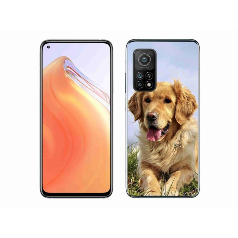 Gél tok mmCase a Xiaomi Mi 10T 5G számára - arany retriever