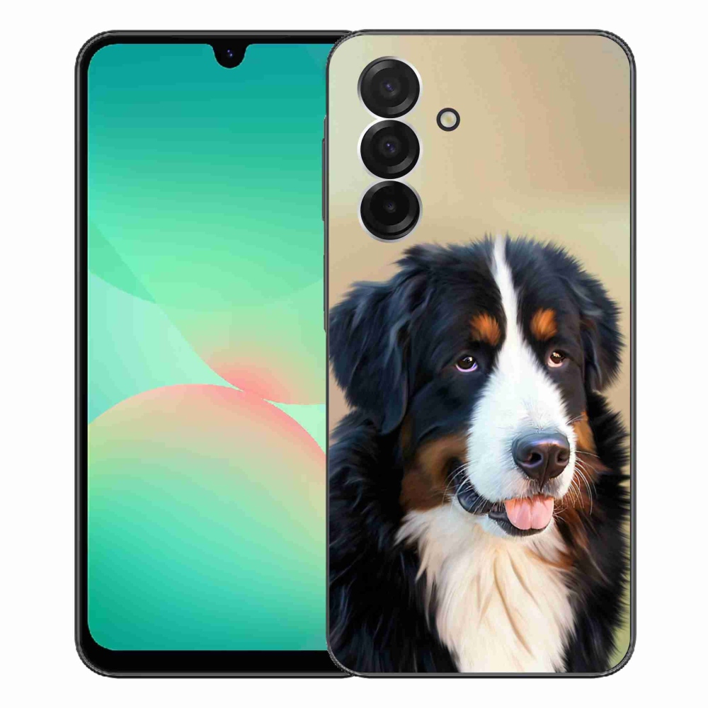 Gél borítás mmCase Samsung Galaxy A26 5G - Berni hegyi kutya Samsung Galaxy A26 5G-hez