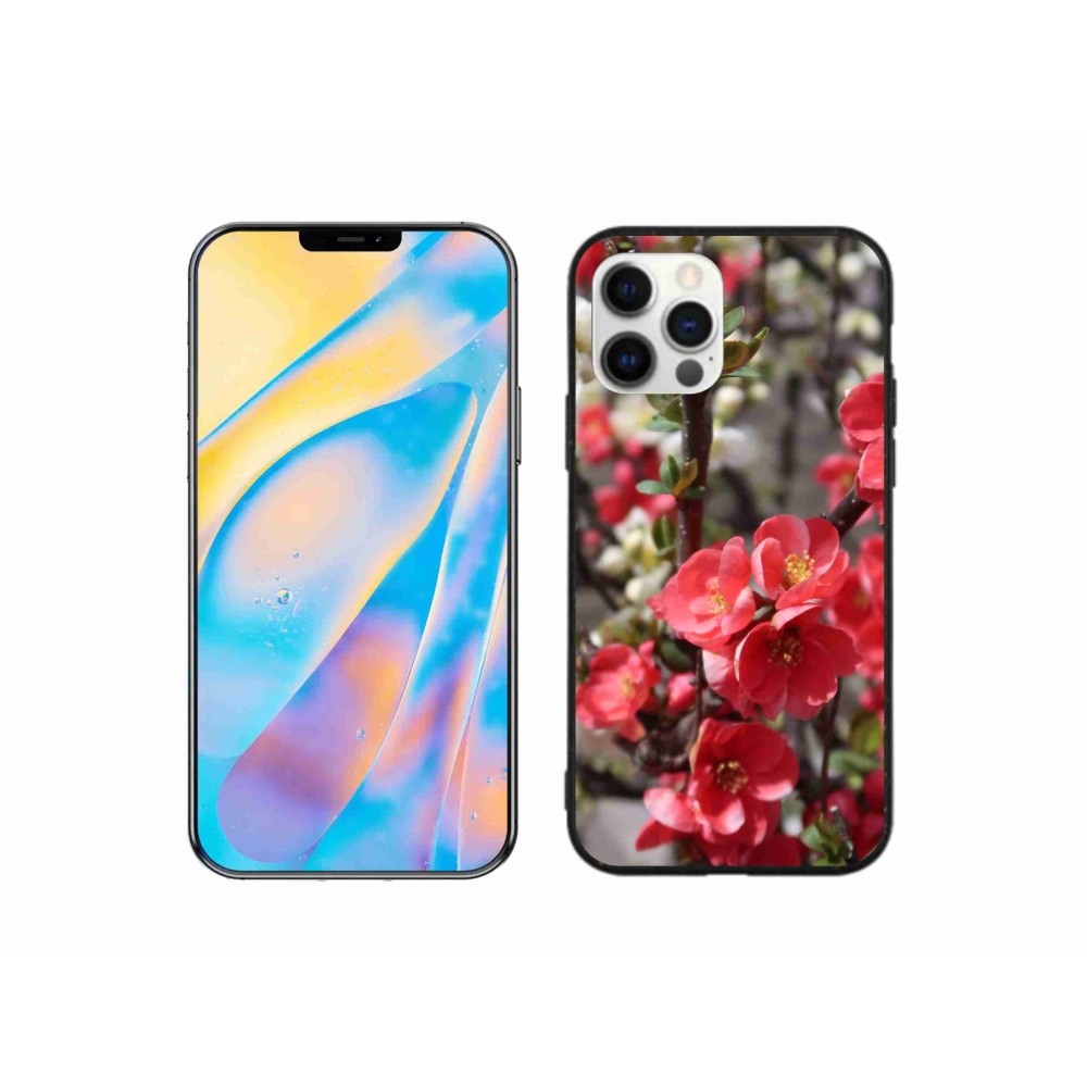 Gél borítás mmCase iPhone 12 készülékhez - piros virágok
