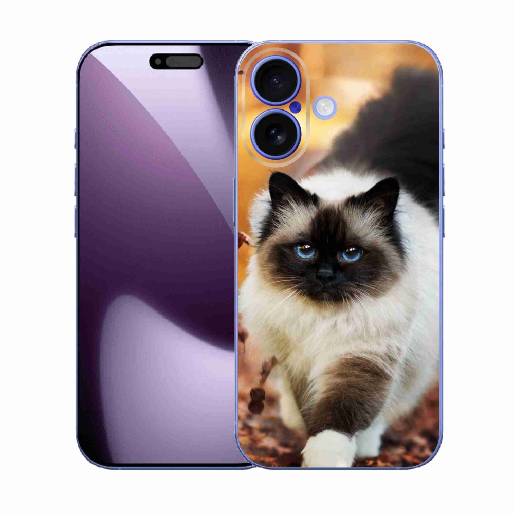 Zselés borítás mmCase iPhone 17 készülékhez - macska