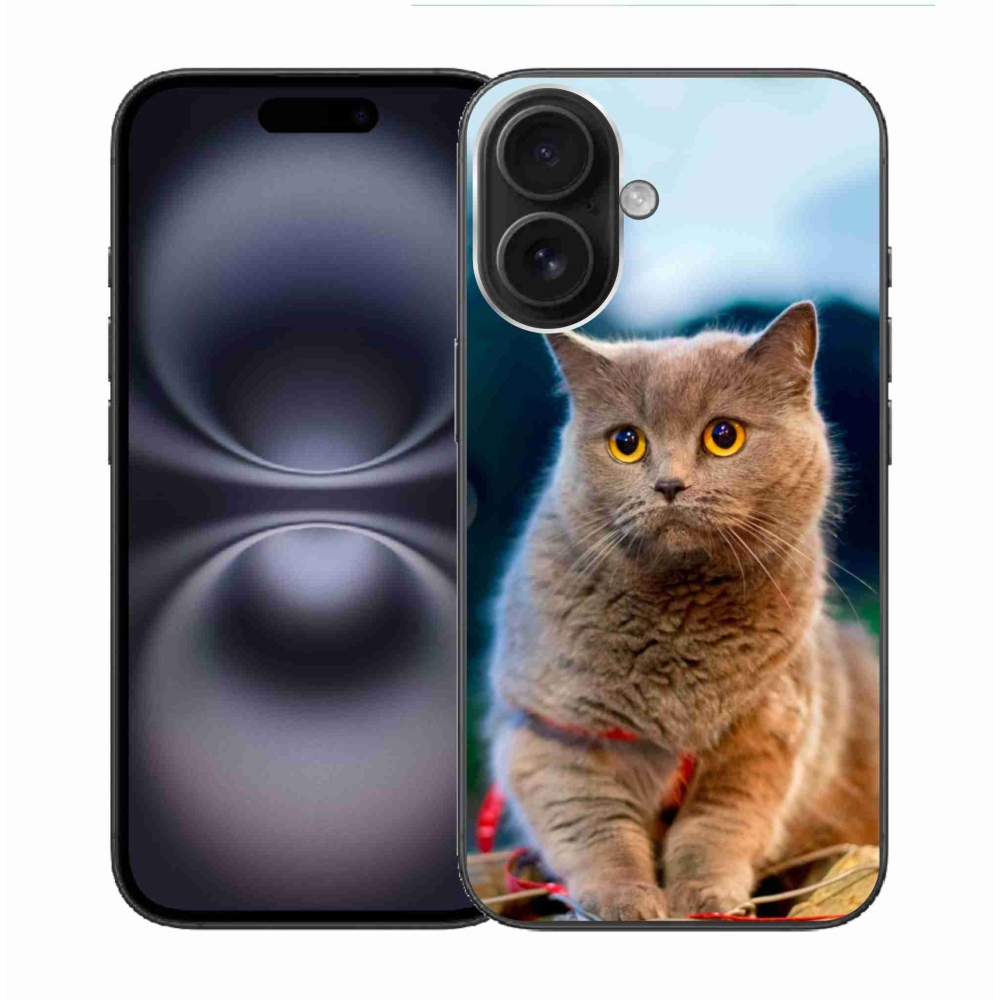 Gél borítás mmCase iPhone 16 készülékhez - Brit kék 2