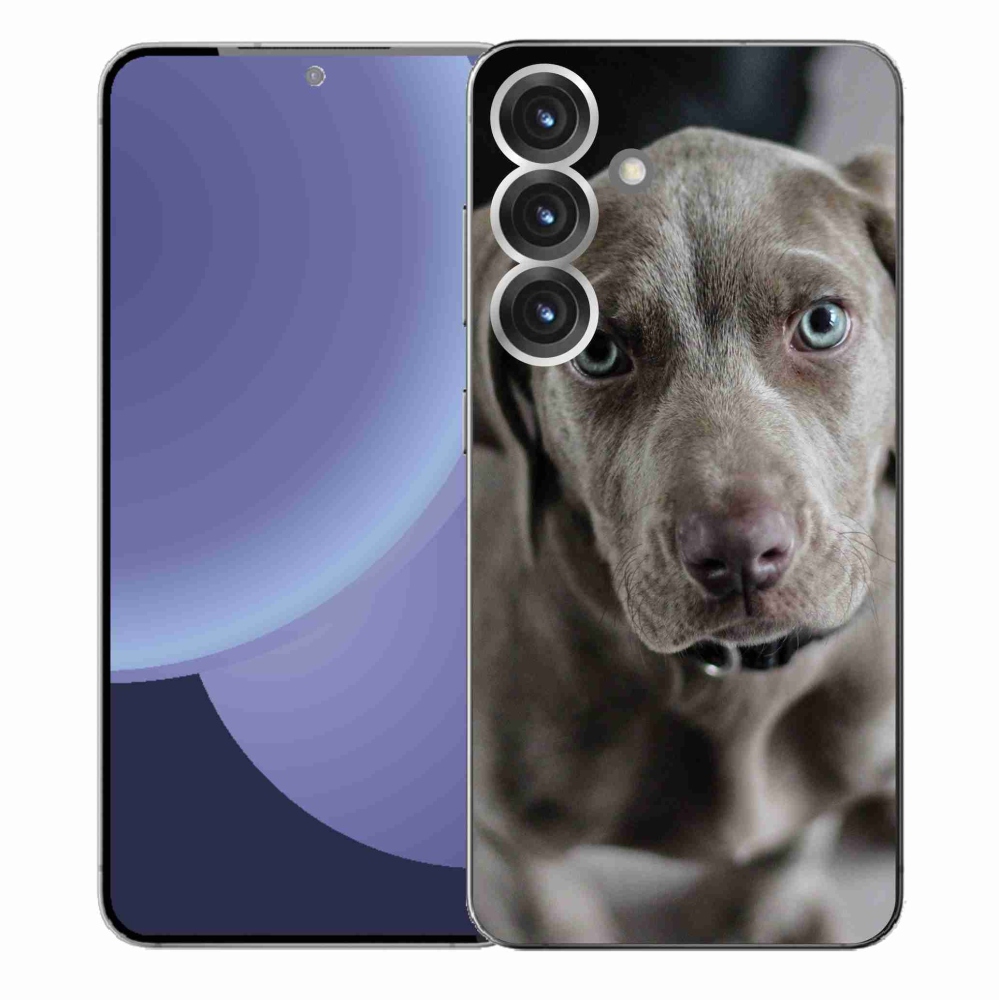 Gél védőhuzat mmCase Samsung Galaxy S25+ - výmarský ohař