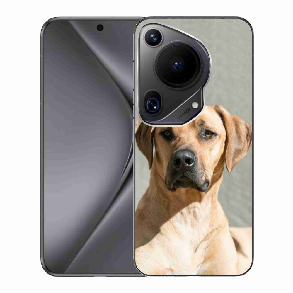 Gél borítás mmCase a Huawei Pura 70 Ultra készülékhez - ridgeback