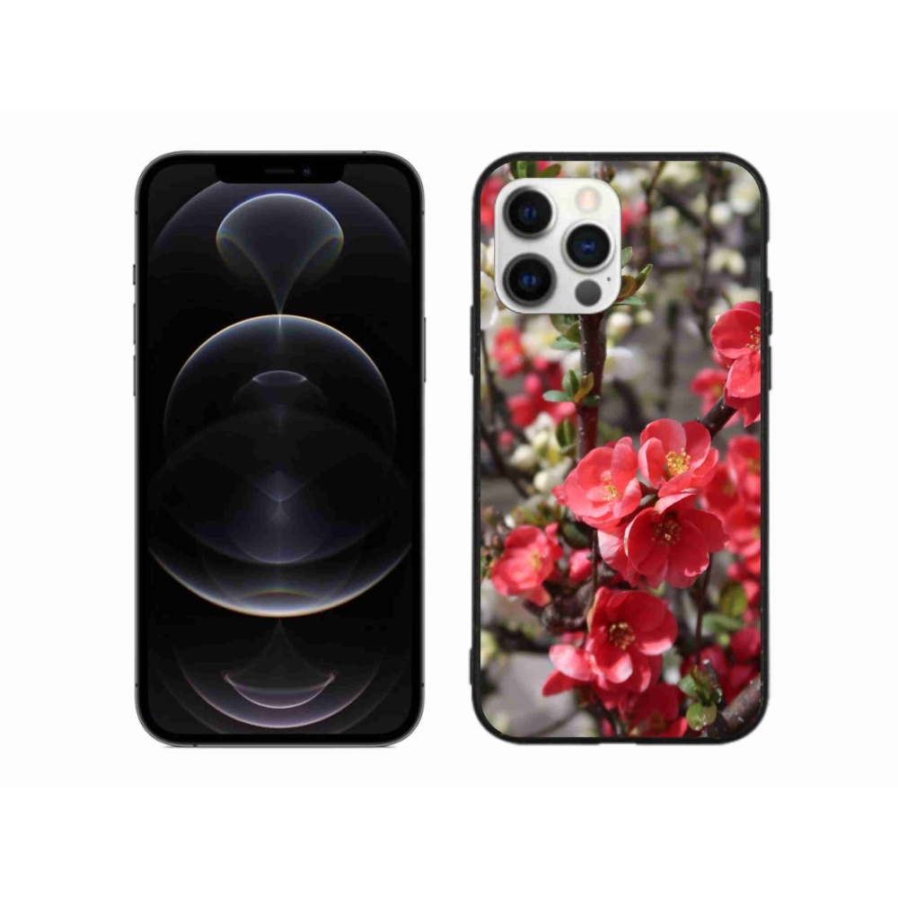 Gél borítás mmCase iPhone 12 Pro Max készülékhez - piros virágok