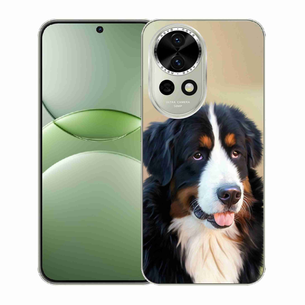 Gél borítás mmCase a Huawei Nova 13 5G-n - Berni hegyi kutya