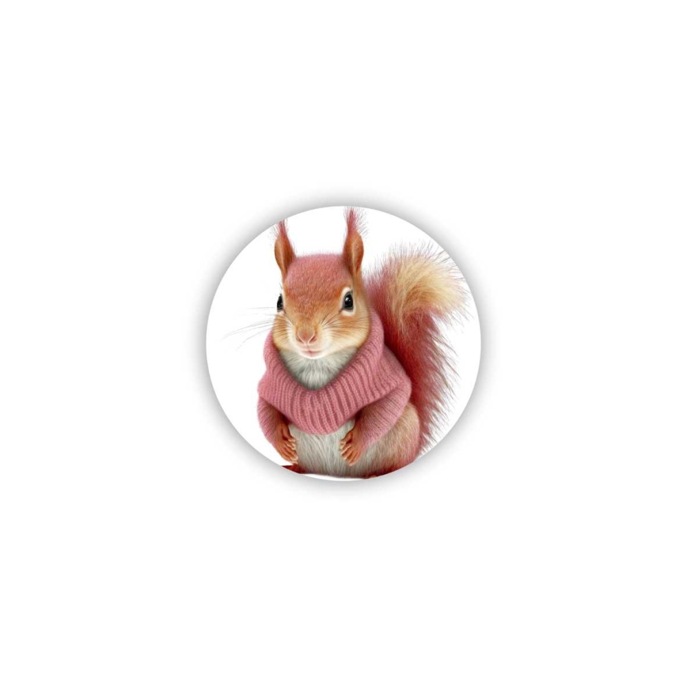 60x60mm-es kör alakú mágnes - mókus pulóverben