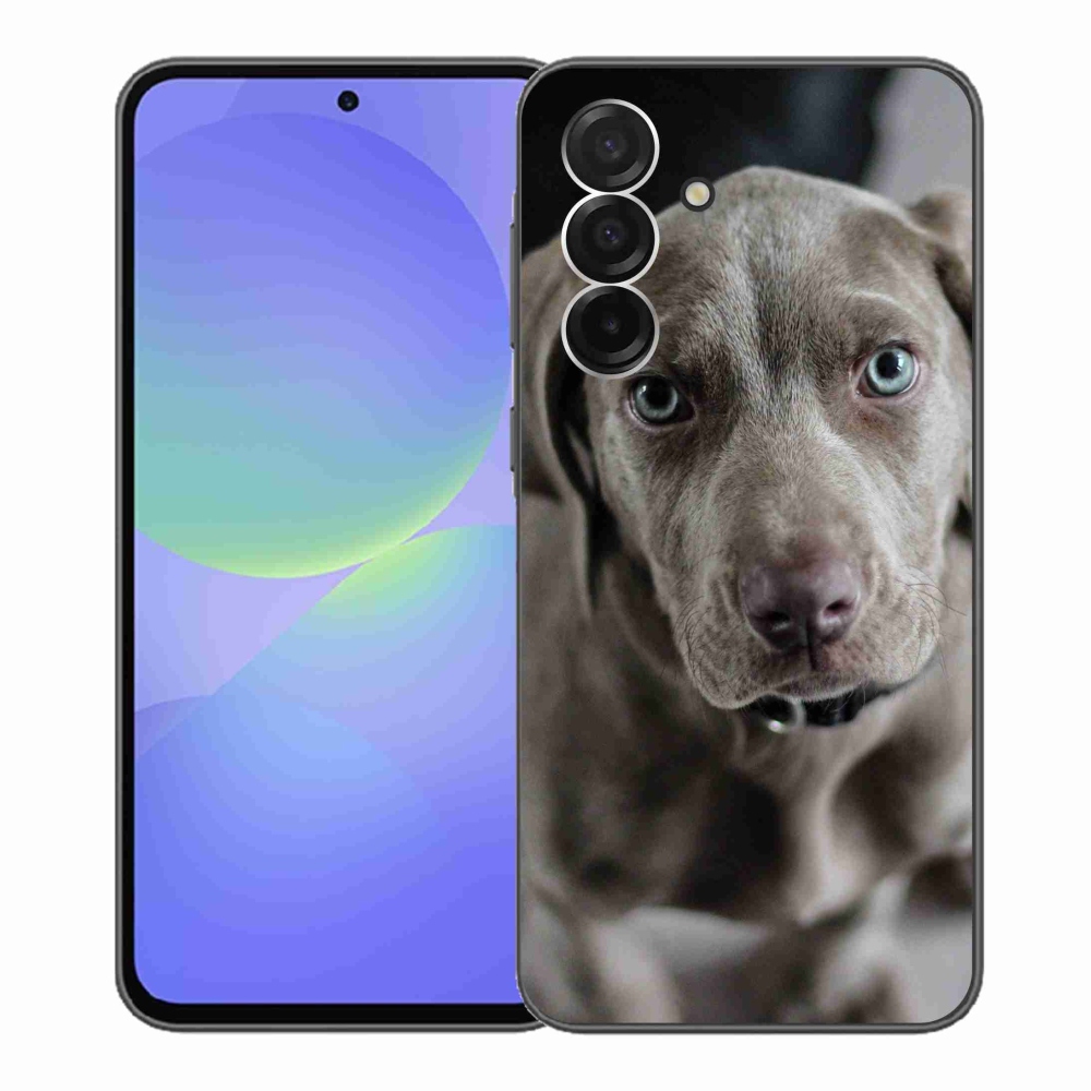 Zselés borító mmCase Samsung Galaxy A36 5G - výmarský ohař