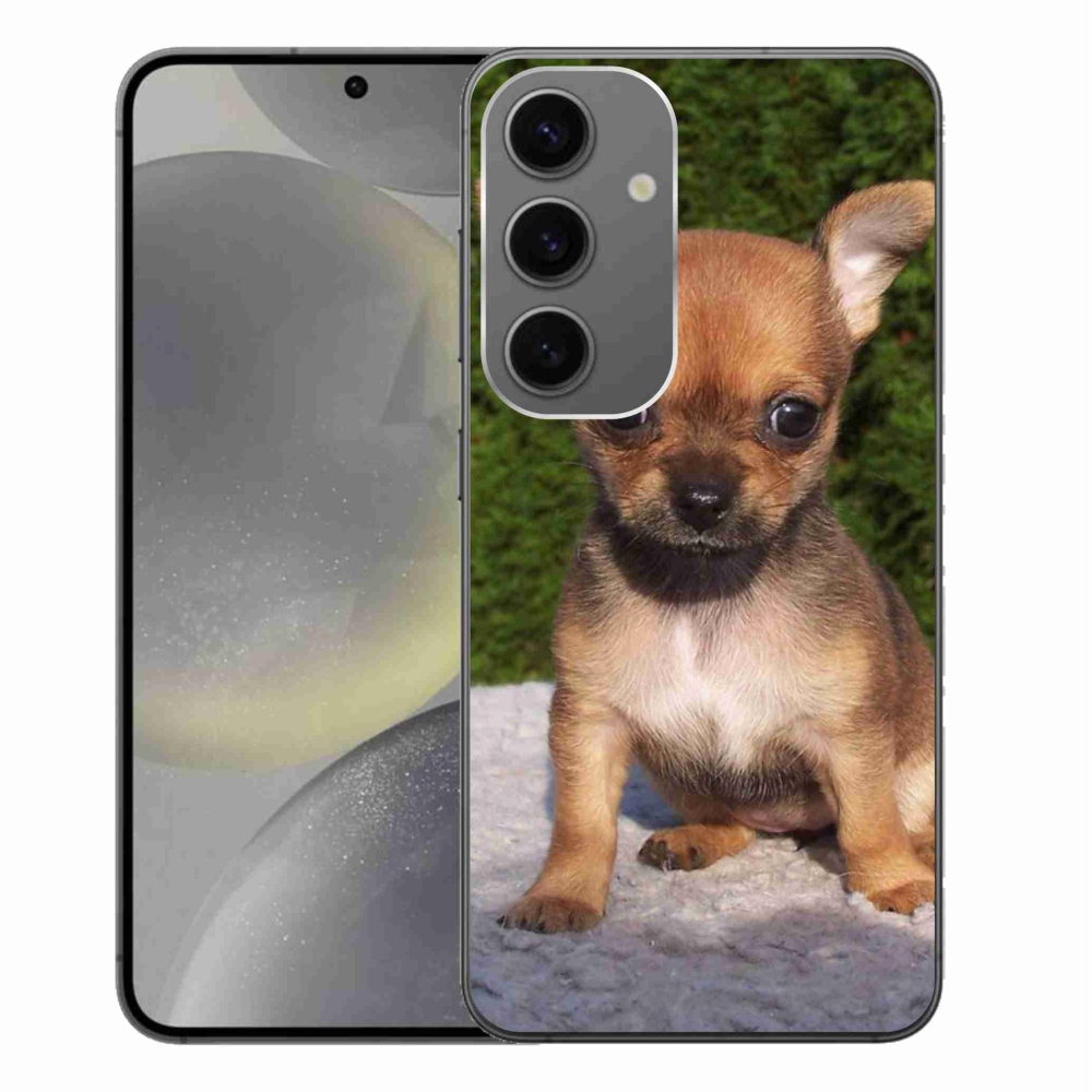 Gél tok mmCase Samsung Galaxy S24+ készülékhez - chihuahua 3