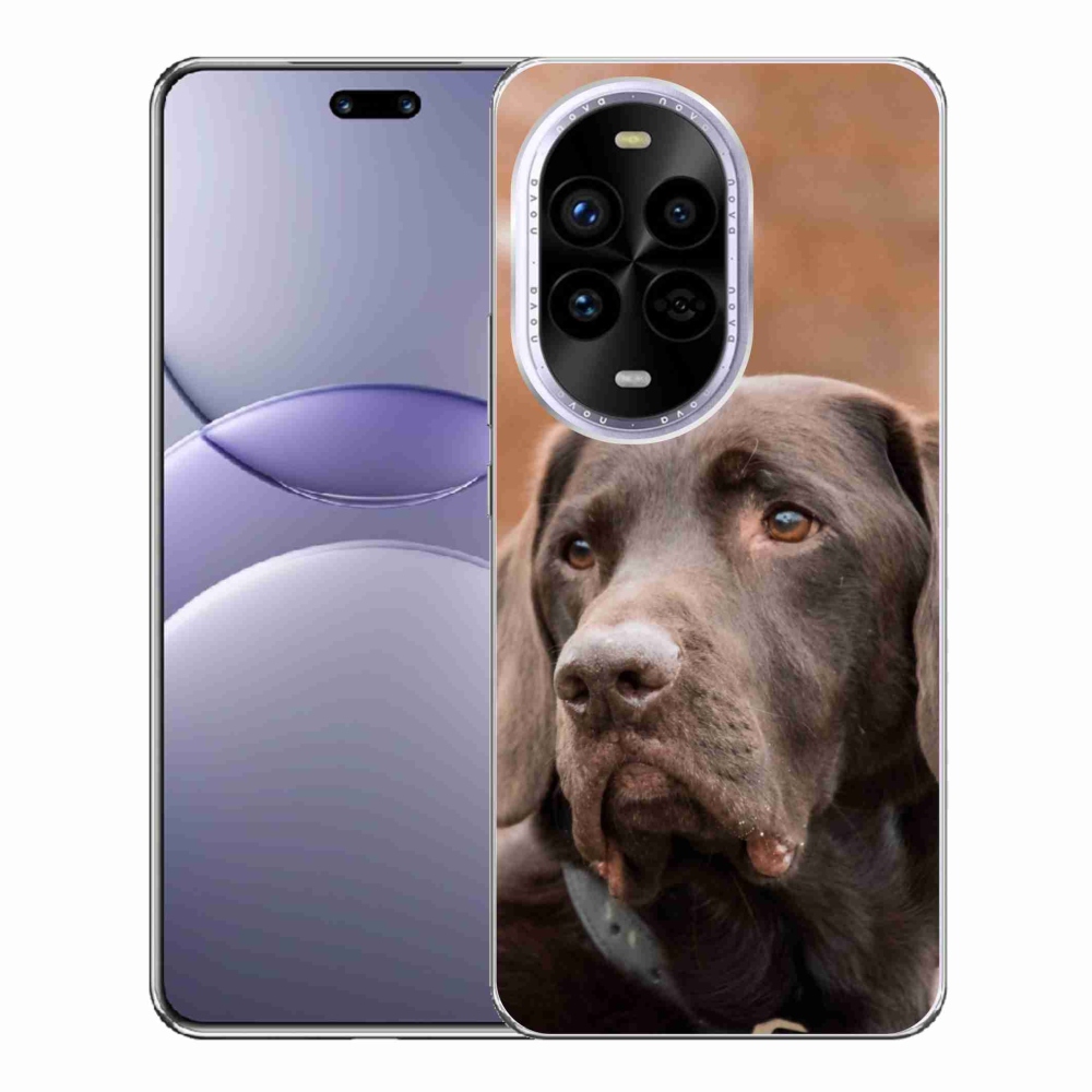 Gél borítás mmCase a Huawei Nova 13 Pro 5G készülékhez - barna labrador