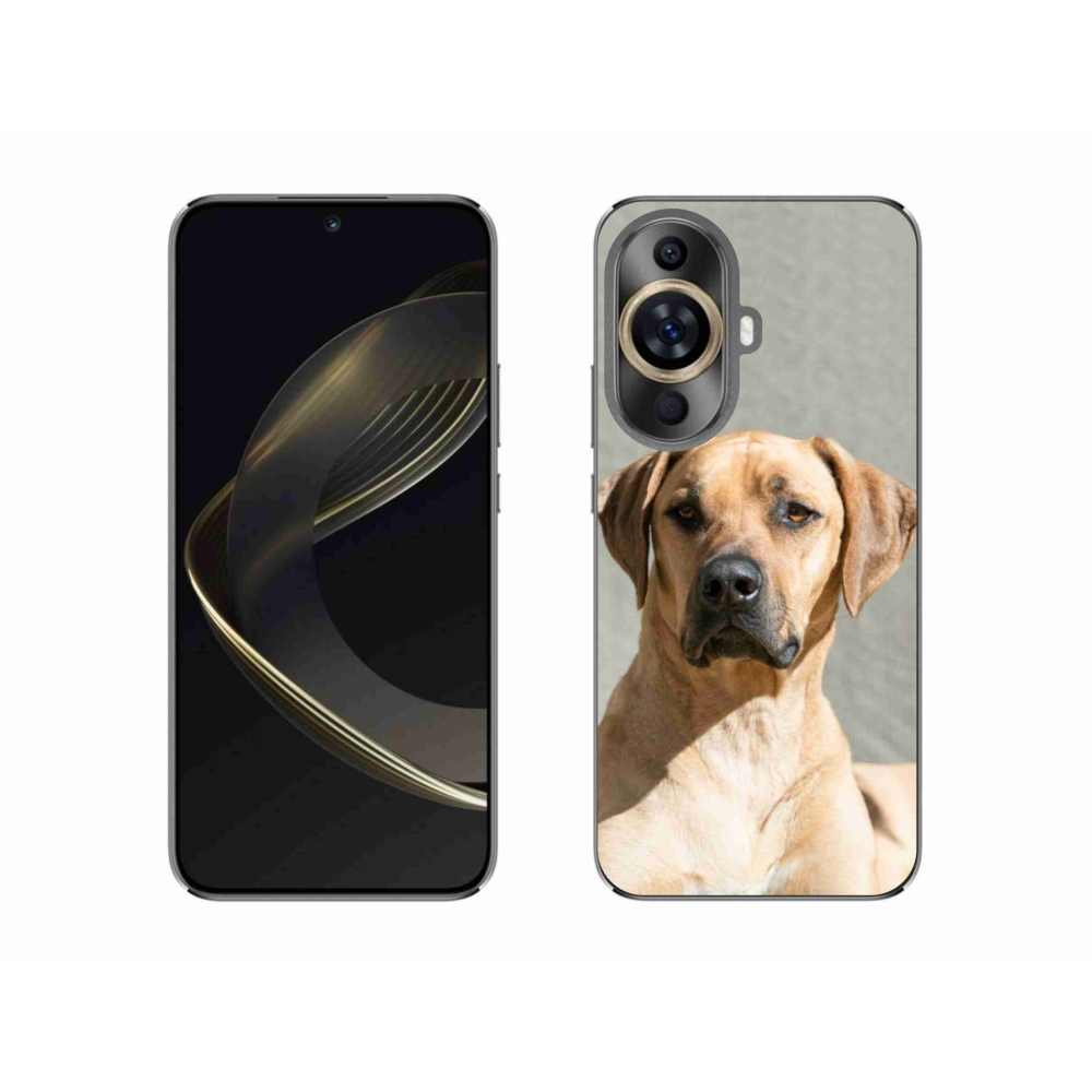 Gél borítás mmCase a Huawei Nova 11 készülékhez - ridgeback