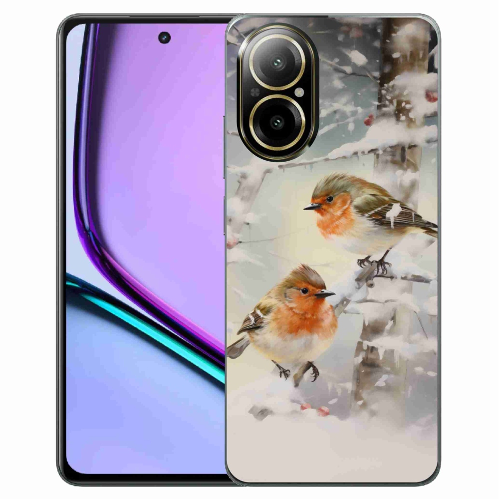 Gél borítás mmCase a Realme C67 készülékhez - madarak télen