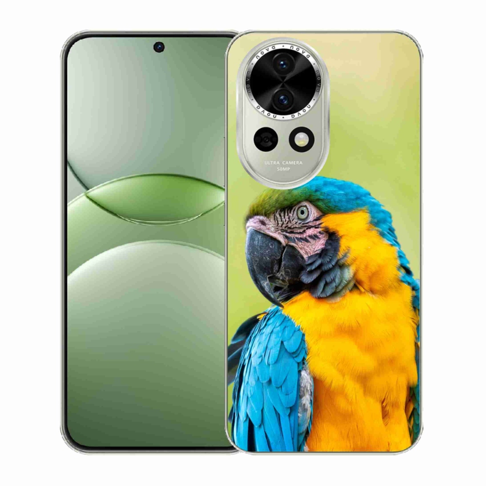Gél borítás mmCase a Huawei Nova 13 5G - papagáj ara 2