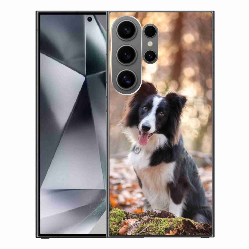 Gél tok mmCase a Samsung Galaxy S24 Ultra készülékhez - border colie 1