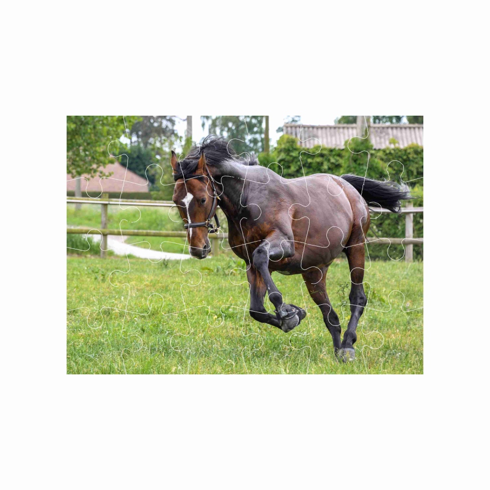 18x13cm (24 darab) képpel - futó ló