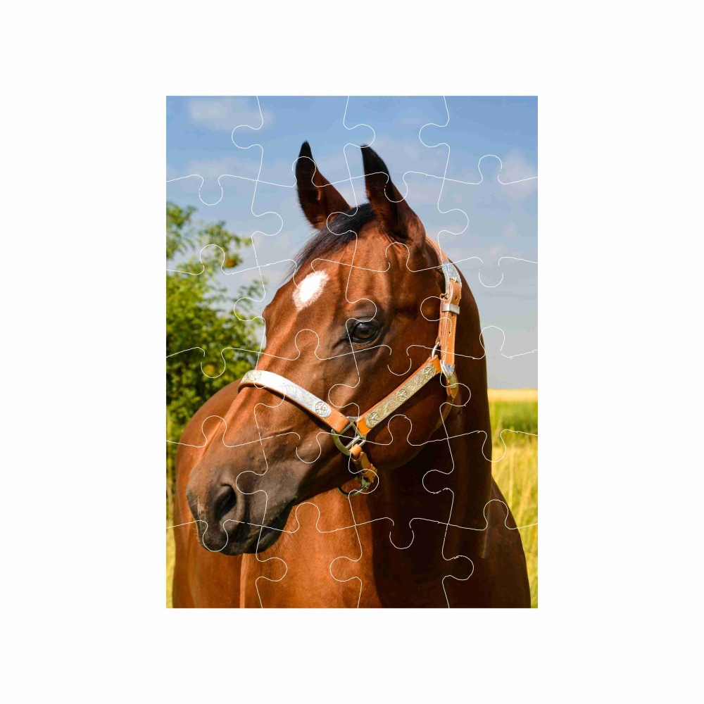 18x13cm (24 darab) képpel - barna ló