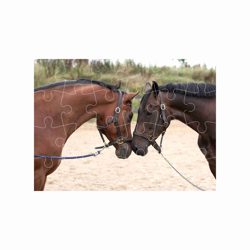 Kirakó 18x13cm (24 darab) képpel - ló üdvözlése