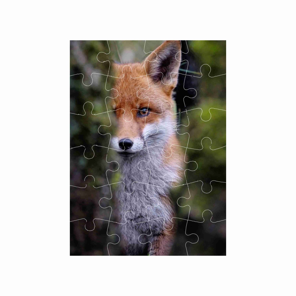 Puzzle 18x13cm (24 darab) képpel - róka