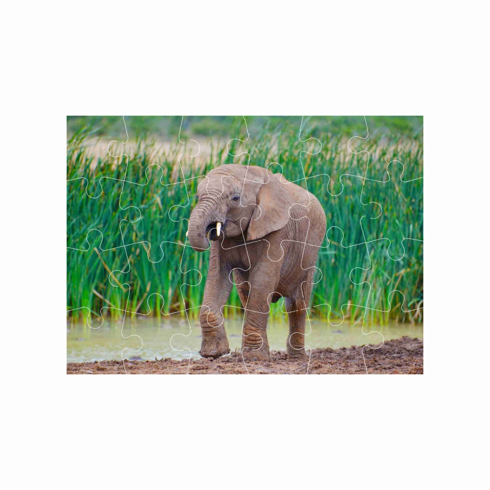 18x13cm-es (24 darabos) kirakó képpel - bébi elefánt