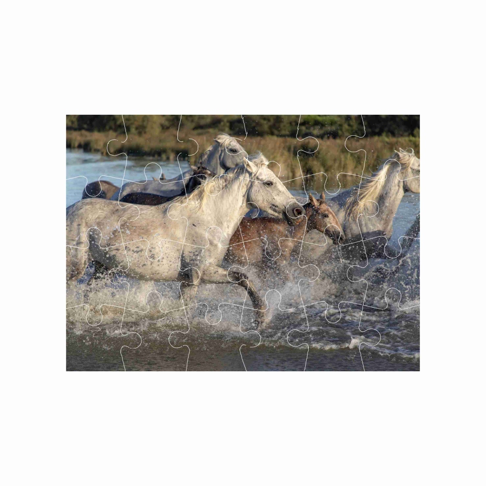 18x13cm (24 darab) képpel - lócsorda