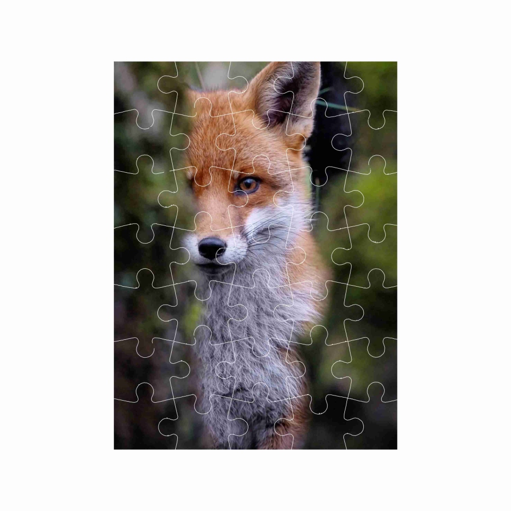Puzzle 27x19,5cm (35 darab) képpel - róka