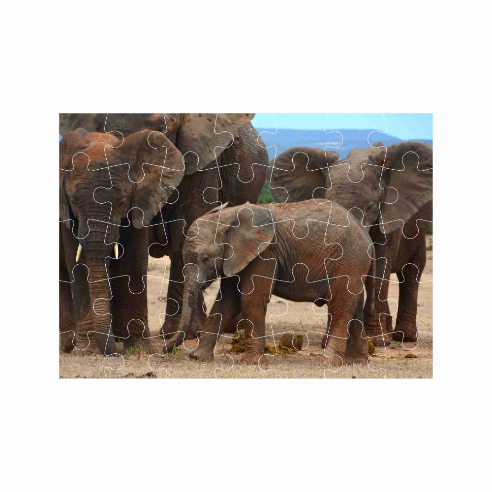 Puzzle 27x19,5cm (35 darabos) képpel - elefántcsalád