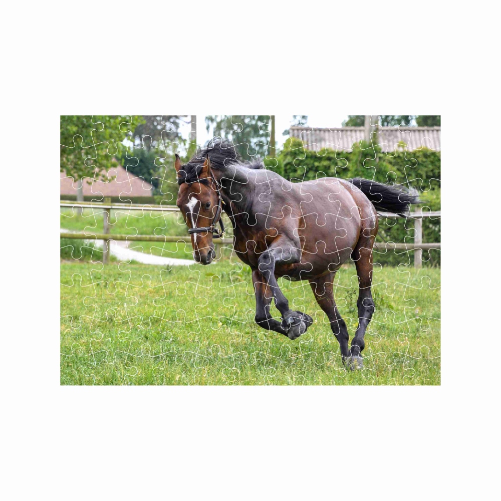 Puzzle 27x19,5cm (88 darabos) képpel - futó ló