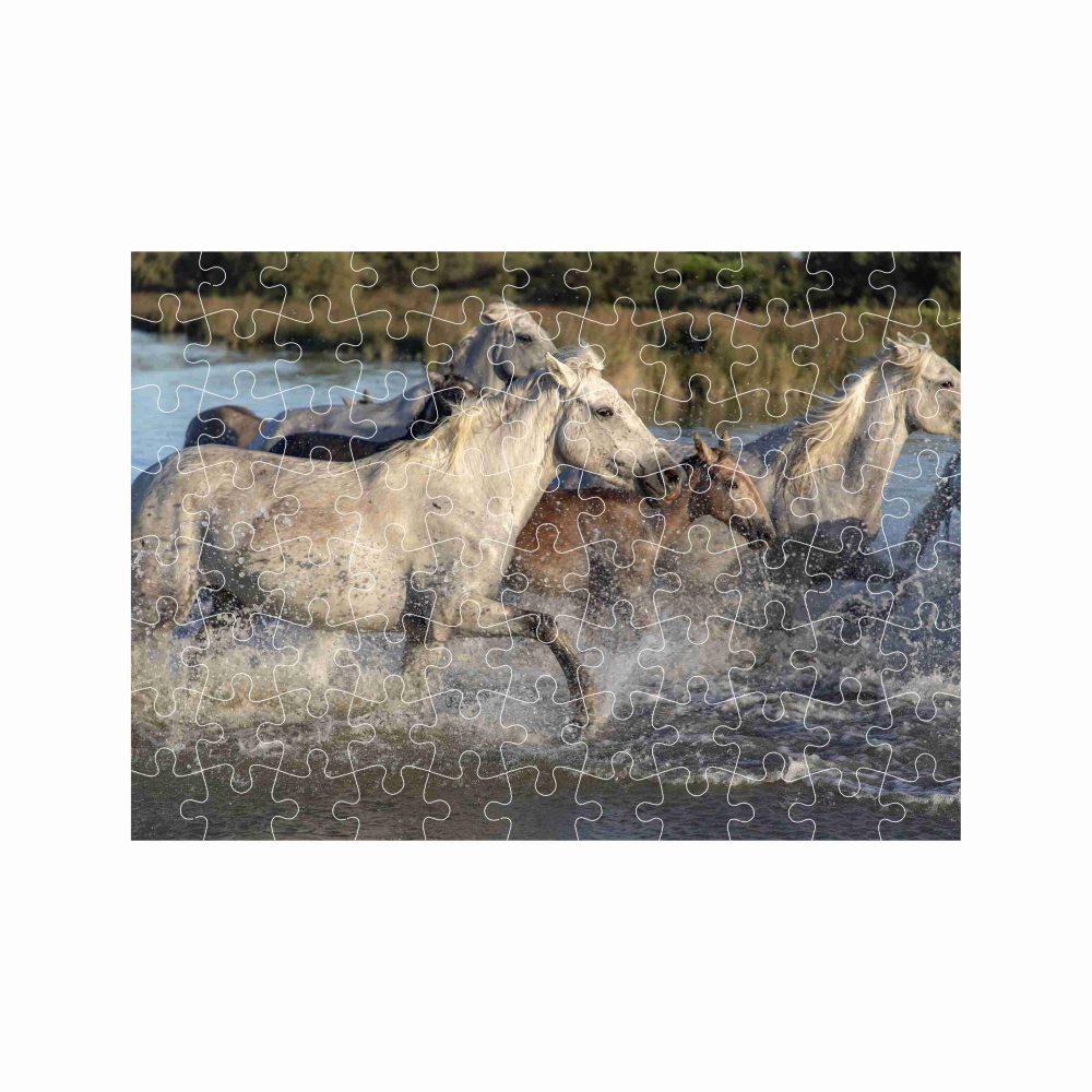 A4-es kirakó 29x20cm (120 darabos) képpel - lócsorda