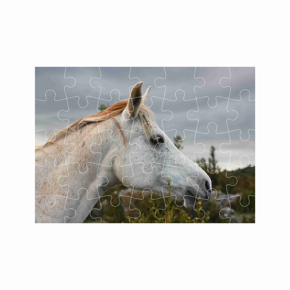 A4-es 29x20cm-es (40 darabos) kirakó képpel - fehér ló