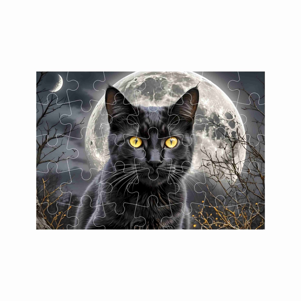 Puzzle A4 29x20cm (40 darab) képpel - fekete macska - fekete macskával