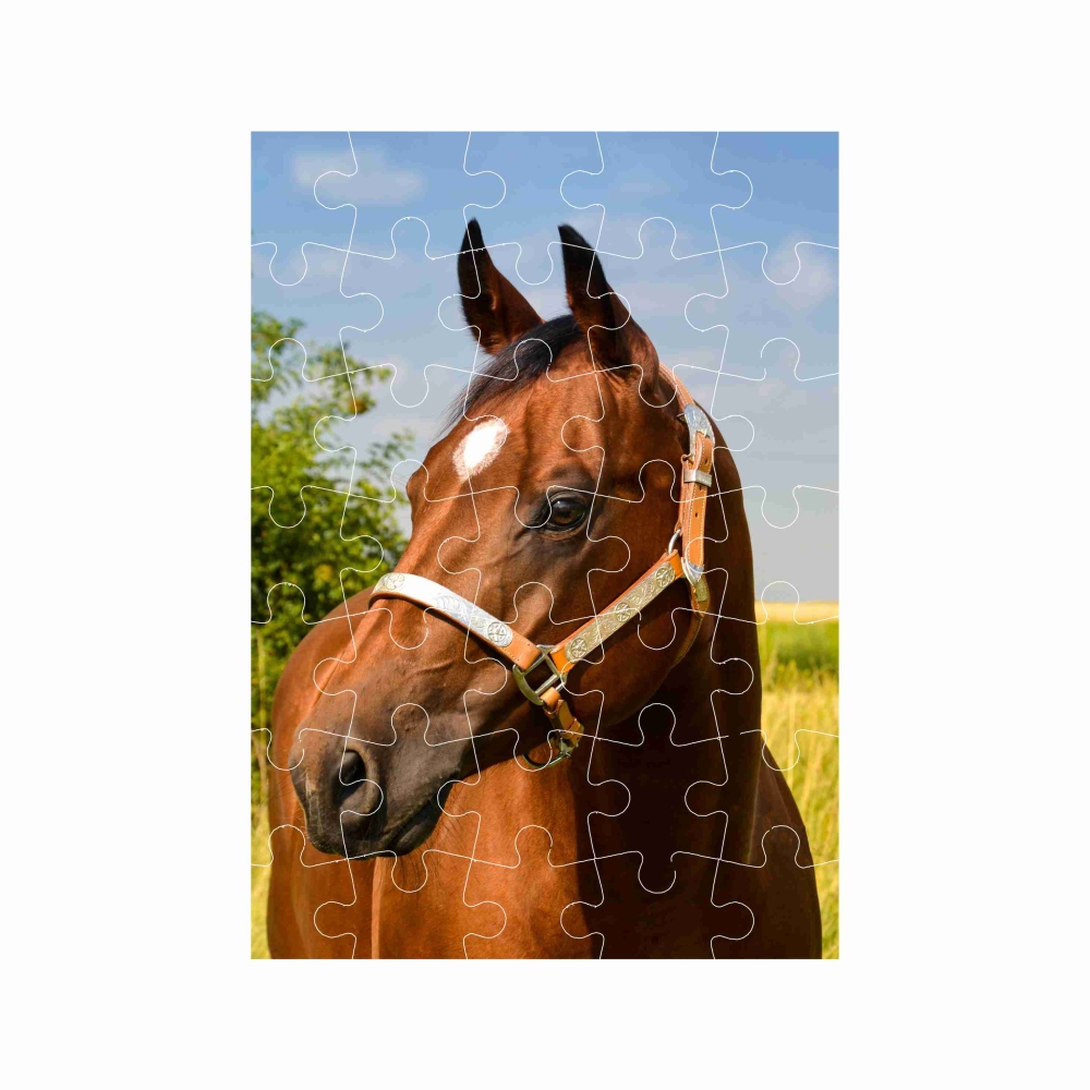 A4-es kirakó 29x20cm (40 darabos) képpel - barna ló