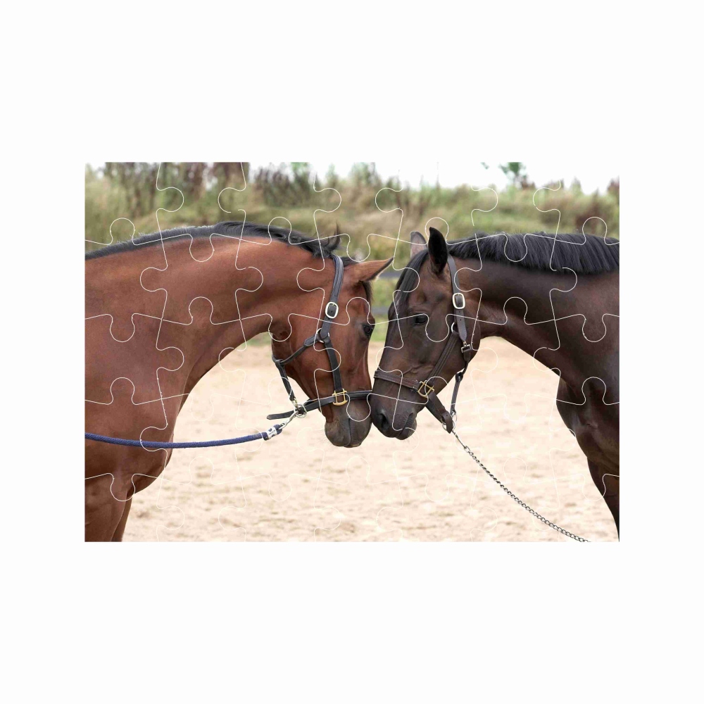 A4-es kirakó 29x20cm (40 darabos) képpel - ló köszöntése