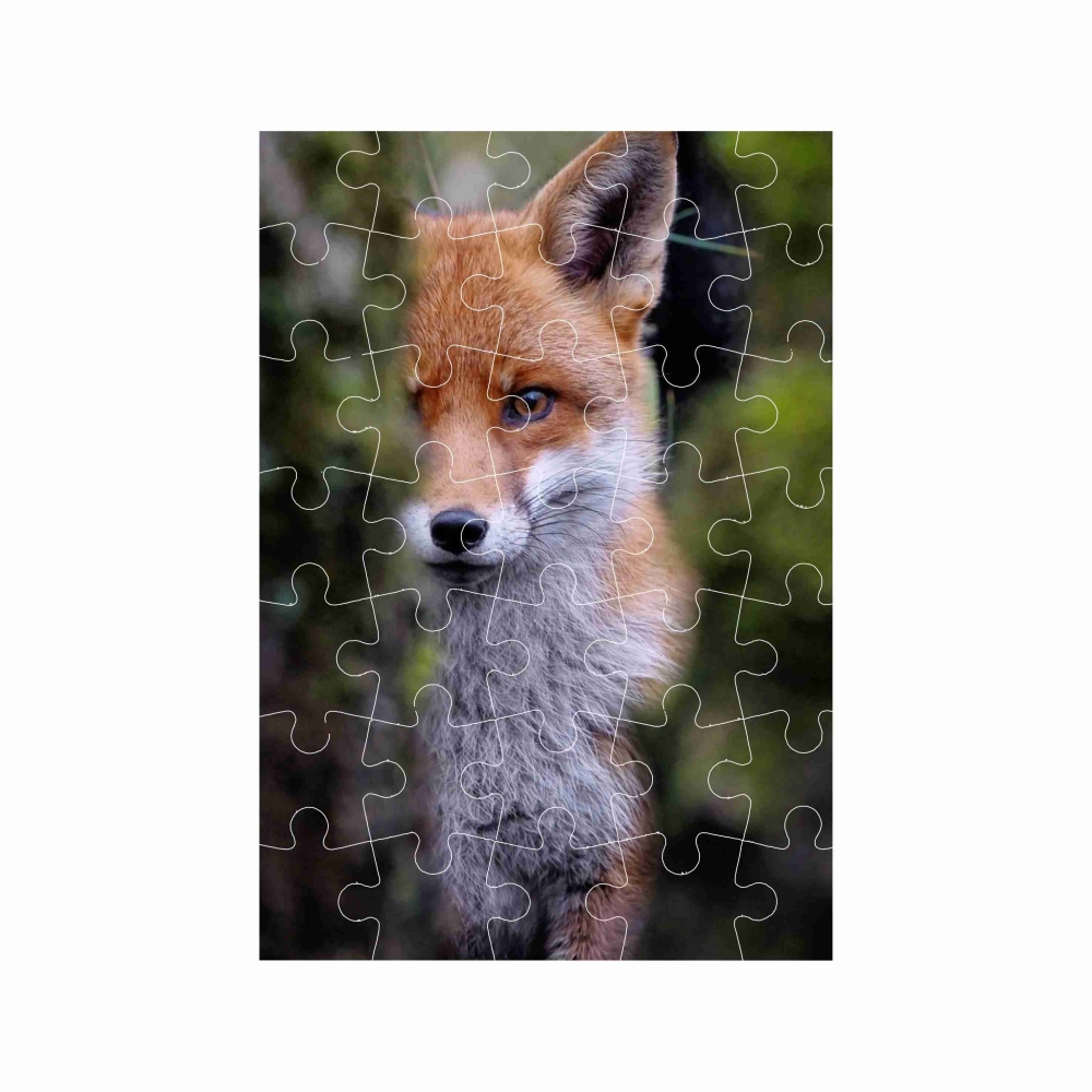 Puzzle A4 29x20cm (40 darab) képpel - róka