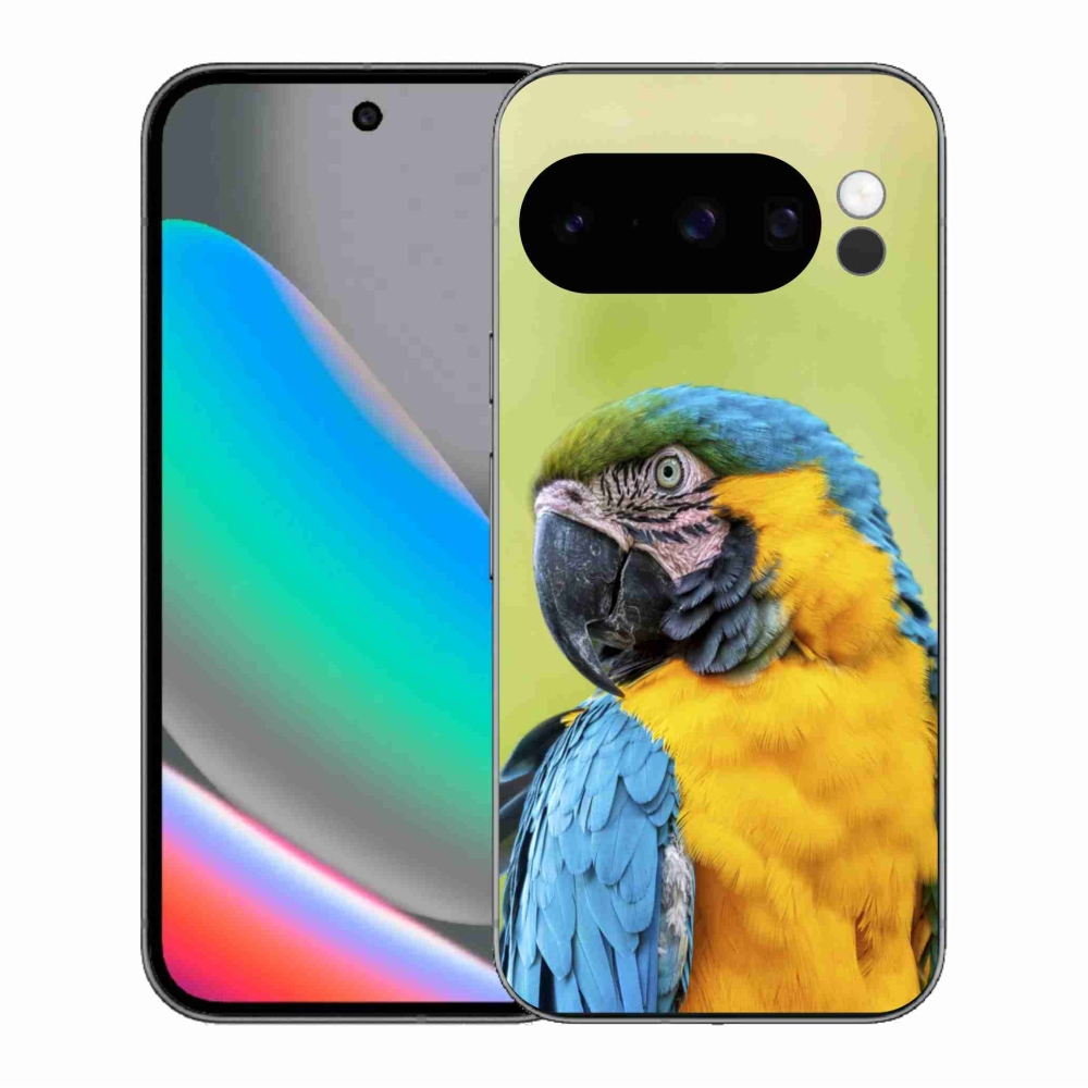 Gél borítás mmCase a Google Pixel 10 Pro készülékhez - papagáj ara 2