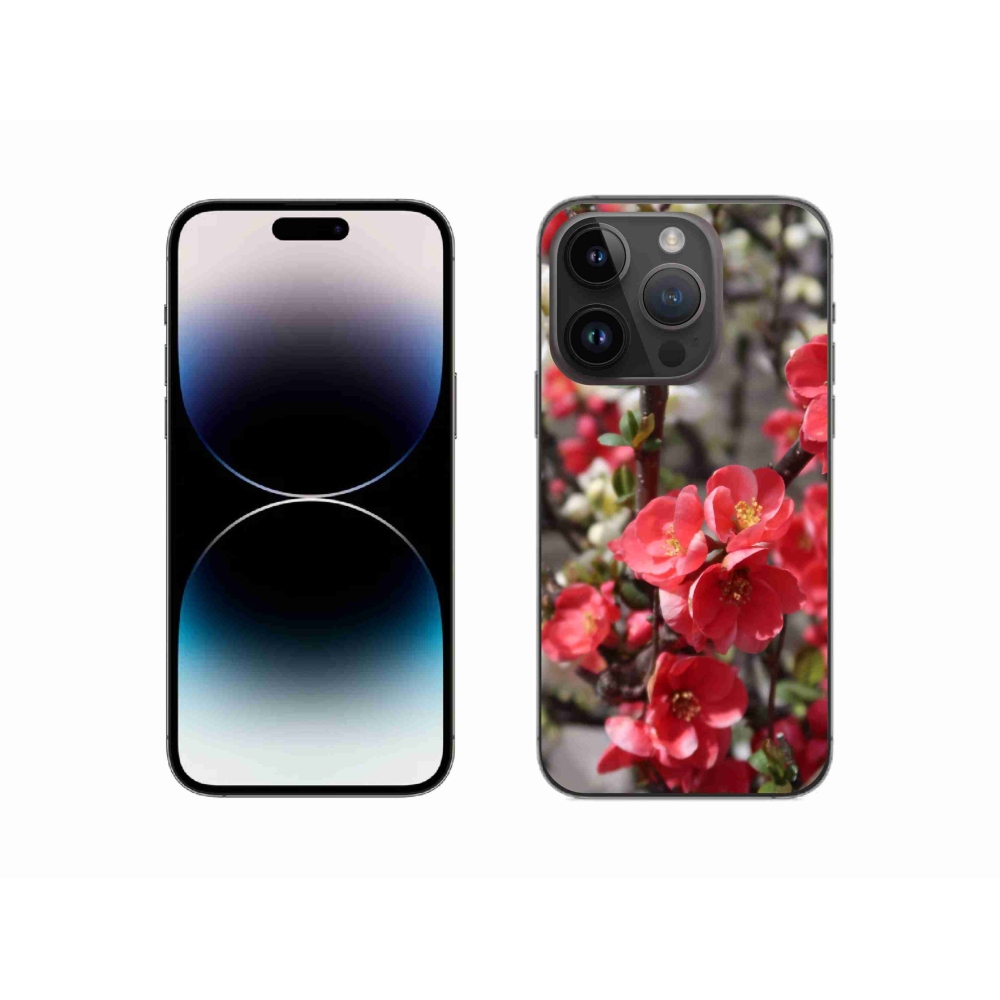 Zselés borítás mmCase iPhone 14 Pro készülékhez - piros virágok
