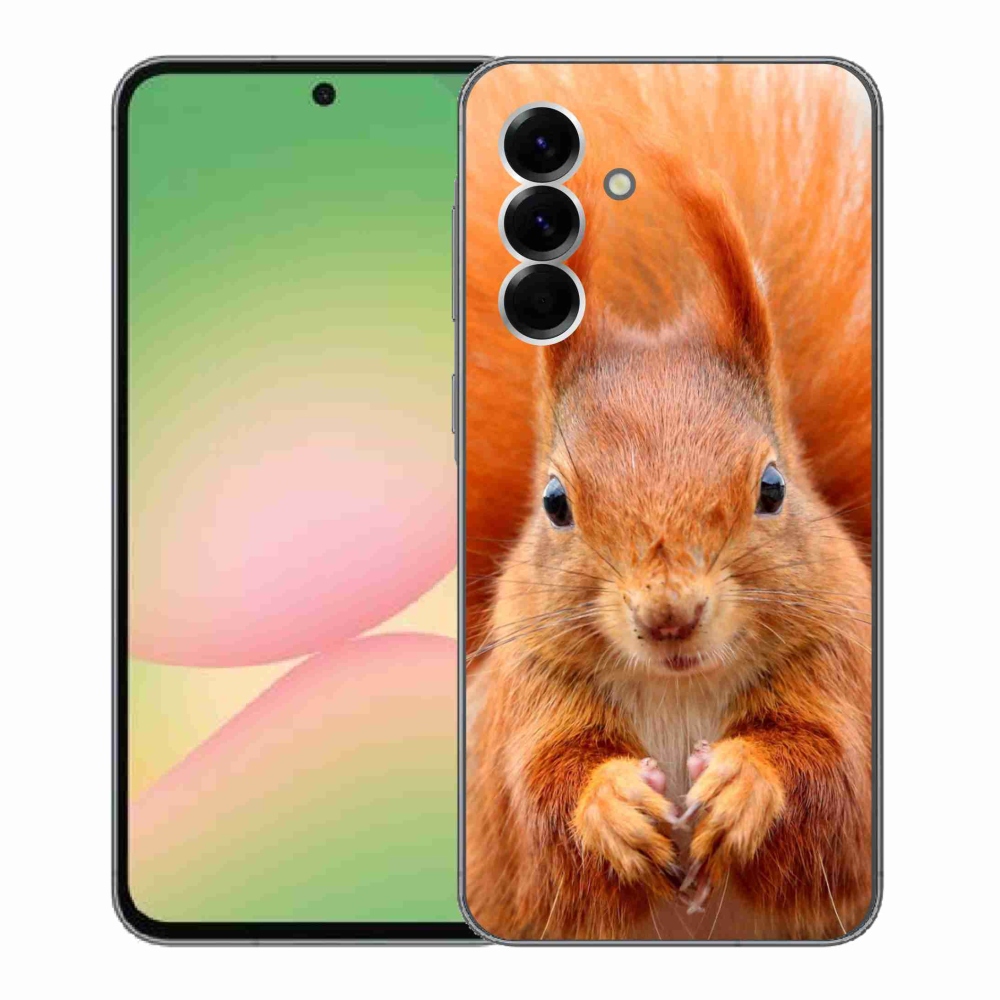 Zselés borítás mmCase Samsung Galaxy A56 5G - mókus