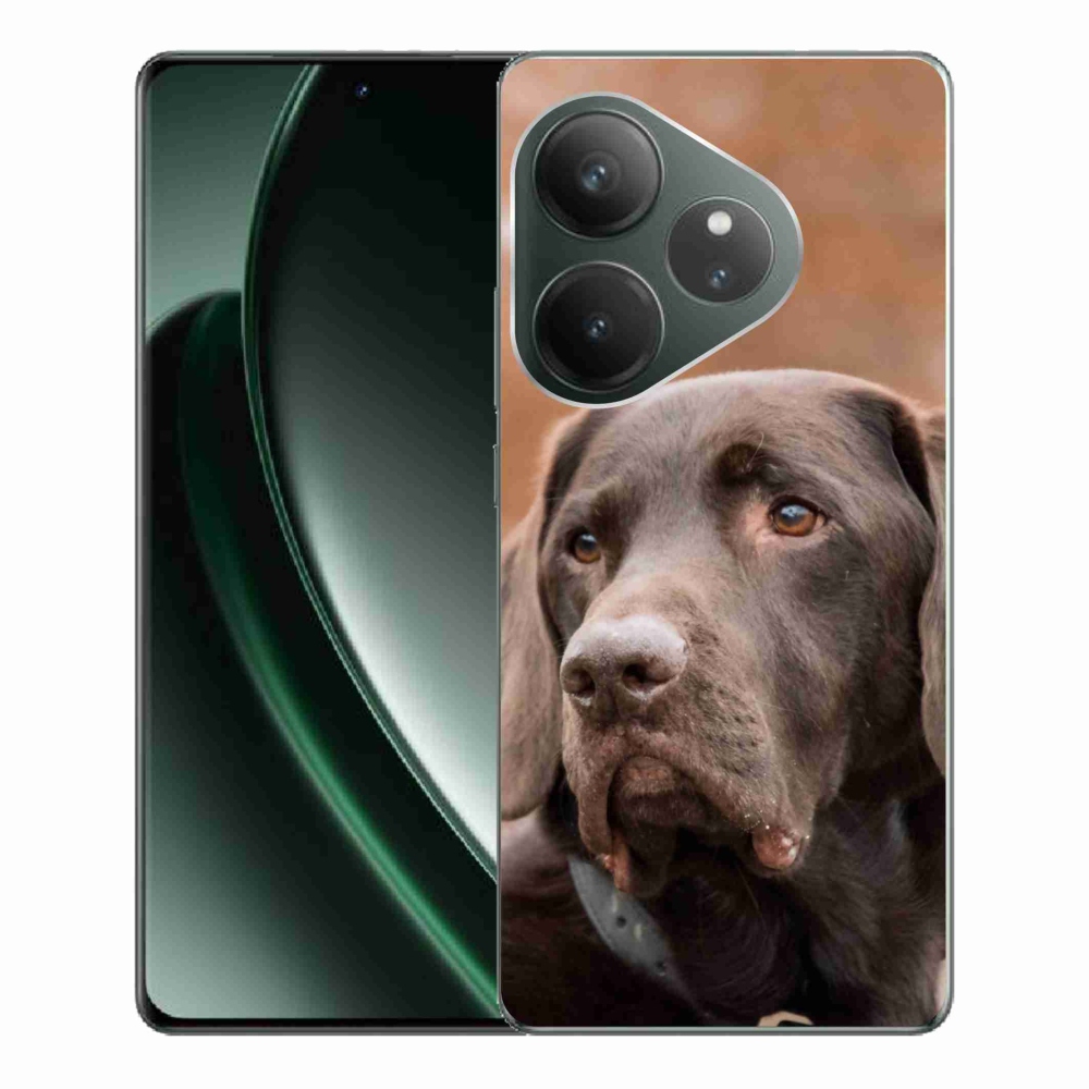 Gél tok mmCase a Realme GT 6 5G/GT 6T 5G számára - barna labrador színű