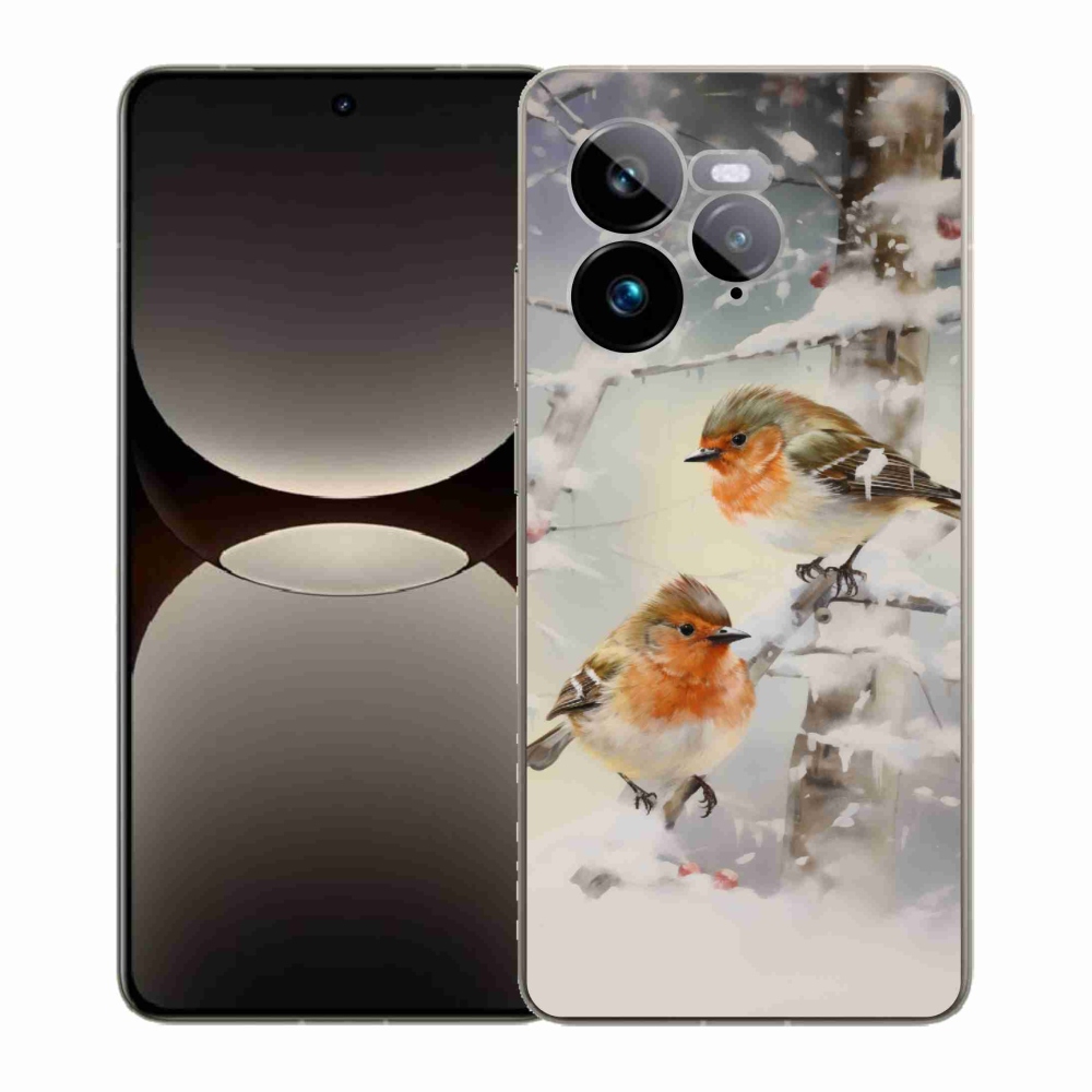 Gél borítás mmCase a Realme GT 7 Pro 5G készülékhez - madarak télen