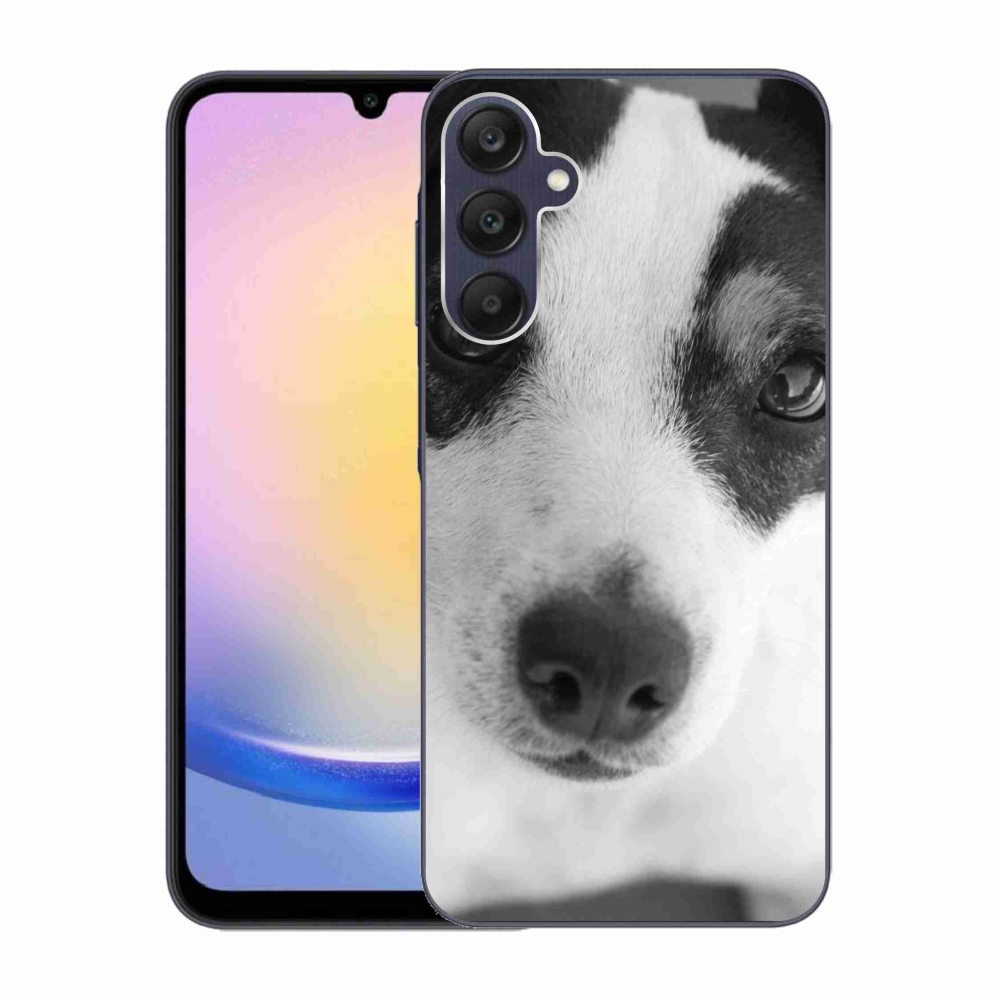Zselés borítás mmCase Samsung Galaxy A25 5G - kutya