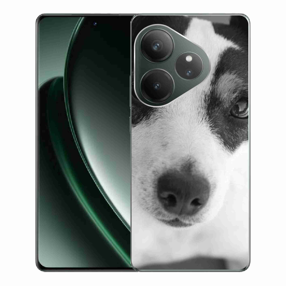 Zselés borítás mmCase a Realme GT 6 5G/GT 6T 5G - kutyához